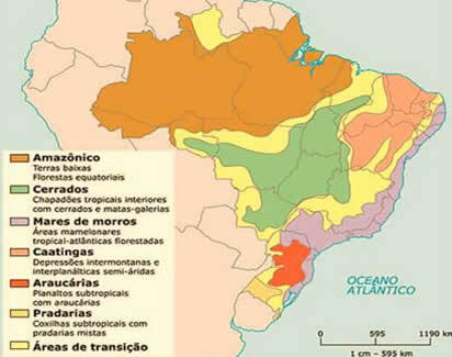 Domaines morphoclimatiques. Domaines morphoclimatiques brésiliens