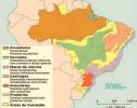 Morfoklimatik alanlar. Brezilya morfiklim alanları