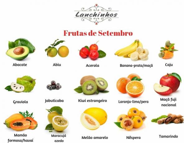 Septemberfruit: de beste opties voor de maand
