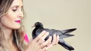 6 ziekten veroorzaakt door duiven