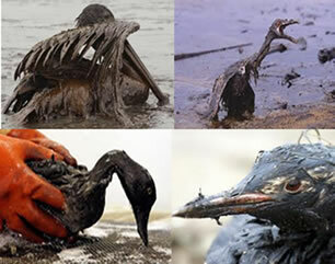 Замърсяване на водата, причинено от нефтени разливи