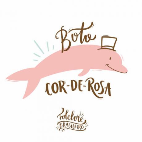 Rosa delfin: å kjenne legenden og dens opprinnelse