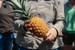 Najdroższe i najrzadsze owoce na świecie, które kosztują 50 000 R$