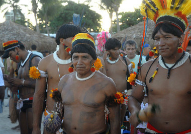 Indigenous Population of Brazil. Brazilian indigenous population