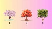 Personality test: choose a tree and find out how your friends see you