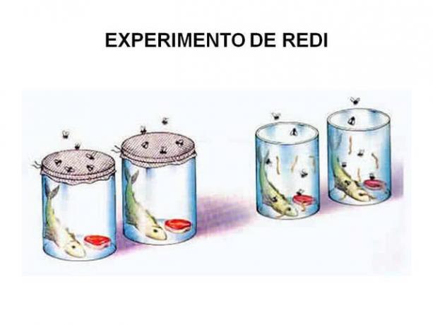 Redi-experiment