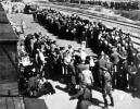 פיתרון סופי: התוכנית הנאצית להשמדת היהודים באירופה