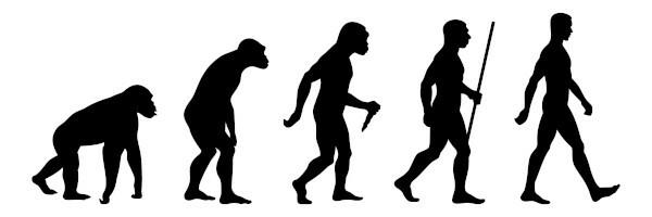 Die Abbildung vermittelt eine falsche Vorstellung, dass die Evolution progressiv abläuft.