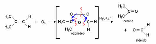 Ozonolysis reaction of alkenes