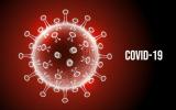 Koronavirus (COVID-19): poiščite tukaj!