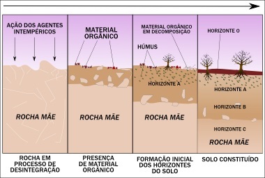 Schema simplificată de formare a solului