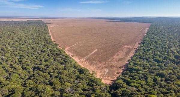 Gebied waar illegale ontbossing van het Amazonewoud heeft plaatsgevonden, een vorm van aantasting van het milieu die in Brazilië veel voorkomt.