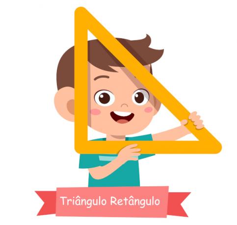 Rectangle triangle: what is it, properties, applications