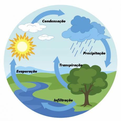 Bekijk hierboven een diagram van de watercyclus.