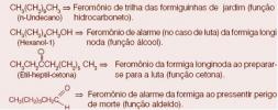 Feromonen, de geur van liefde en cis-trans isomerie. Feromonen