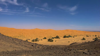 typische Wüstenlandschaft