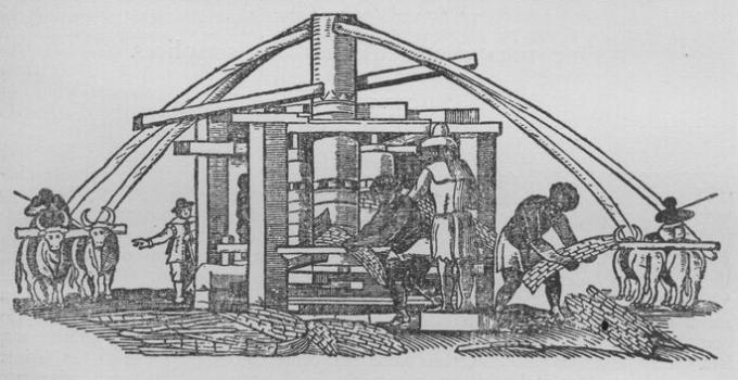 Des esclaves travaillant dans un moulin à bœufs pendant qu'une personne libre les regarde