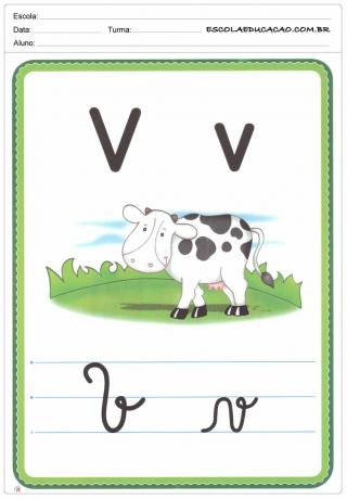 Alfabet Ilustrowany - Litera V