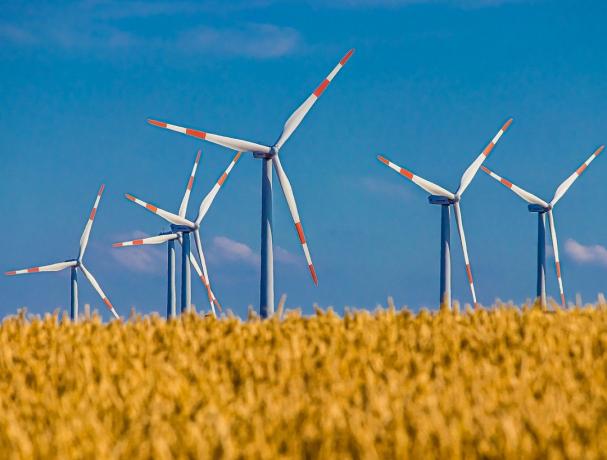 Energia regenerabilă: rezumat, surse, avantaje și dezavantaje
