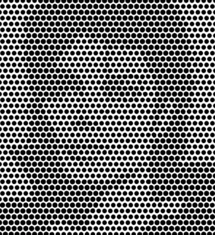 Nedaug žmonių gali atpažinti šioje optinėje iliuzijoje slypinčią įžymybę.