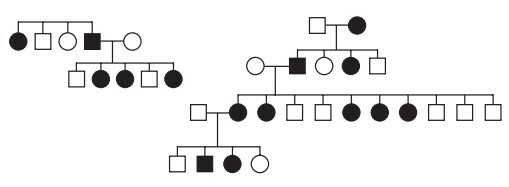 heredogram enem