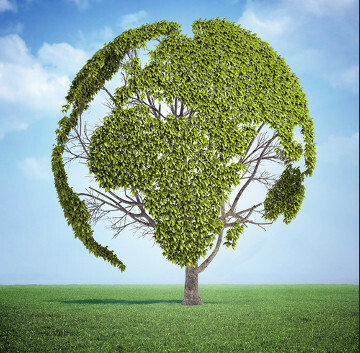 Verdens miljødag feires 5. juni.