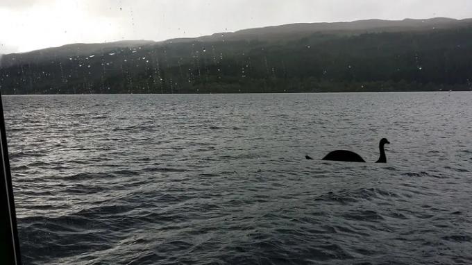 Loch Nessi koletis: vaadake värskendust rannast leitud kummalise looma kohta