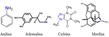 Nomenklatura aminov. Uradna in običajna nomenklatura aminov