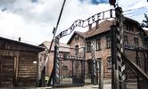 Förintelsen: Antisemitism och koncentrationsläger