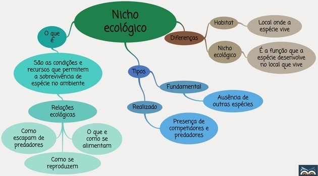 Mind map about ecological niche
