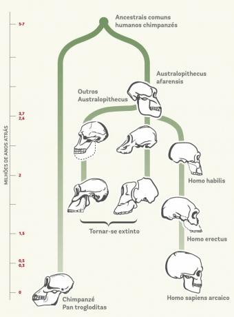Evolutie van Homo sapiens