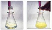 Mixing of solutions with occurrence of chemical reactions