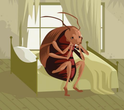 Without a role in society, Gregor Samsa turns into an outcast.