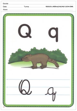 Alfabet Ilustrowany - Litera Q