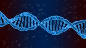 DNA: co to je, jaká je její funkce a struktura