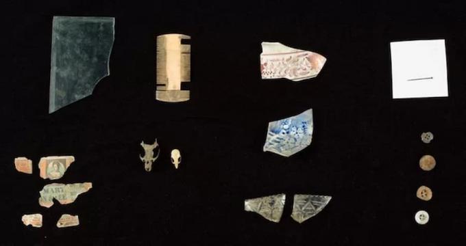 Från lyx till skräp: värdefulla föremål hittades i ett musbo i USA; se