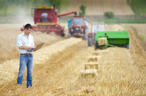 У интензивној пољопривреди постоји употреба машина, технологије и специјализоване радне снаге
