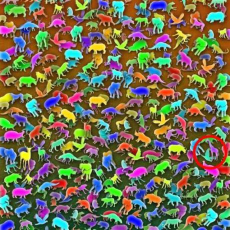 Test your intelligence: Find the hidden giraffe in this optical illusion!
