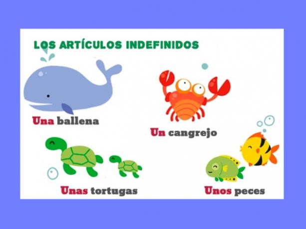 Definite and Indefinite Articles in Spanish – Definite and indefinite articles