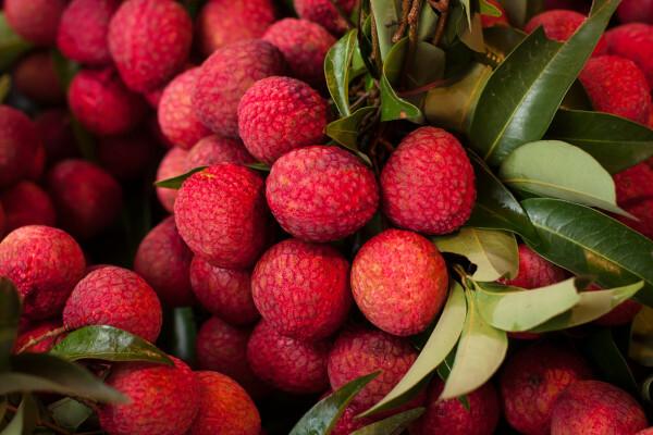 Litchi je strom původem z Číny. Jeho ovoce, liči, má důležité vitamíny a minerály.