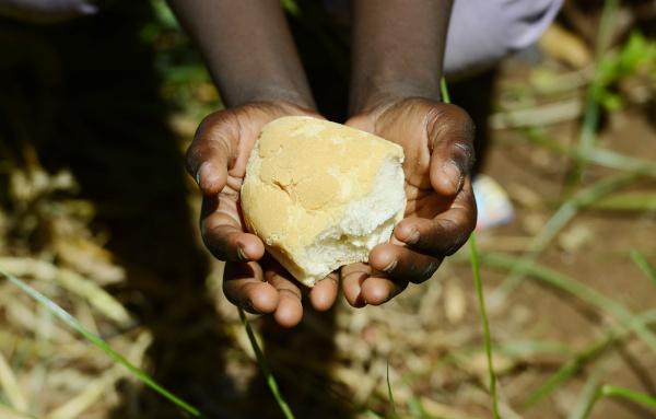 Nedostatek potravin v různých částech světa je jedním z faktorů odpovědných za podvýživu dětí.