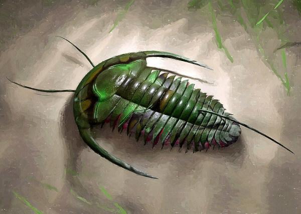 Illustration of a trilobite, an animal that lived during the Paleozoic Era.[1]