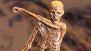 Ötzi: penemuan baru mengungkap KEBENARAN tentang 'Manusia Es'; Lihat