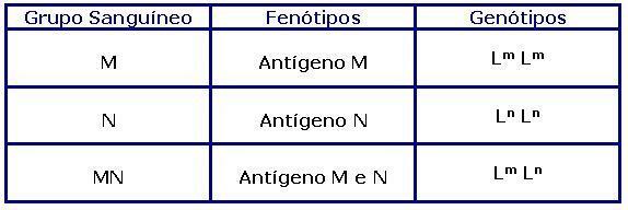 Генотипы и фенотипы системы MN