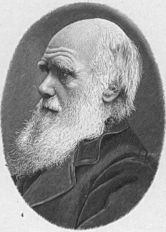 Den brittiske naturforskaren Charles Darwin, skapare av teorin om naturligt urval