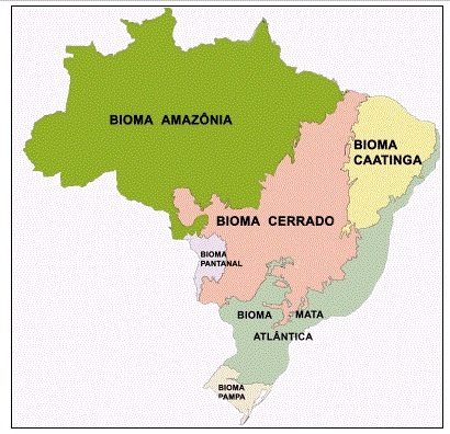 IBGE के अनुसार ब्राजील में छह बायोम हैं। (स्रोत: आईबीजीई)