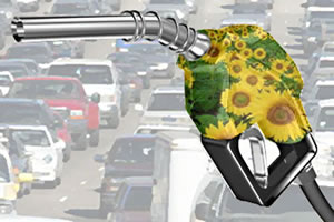 바이오 연료는 차량 오염에 대한 해결책이 될 수 있습니다