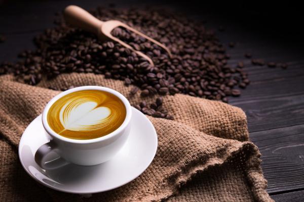 Café: características botánicas, uso y beneficios.