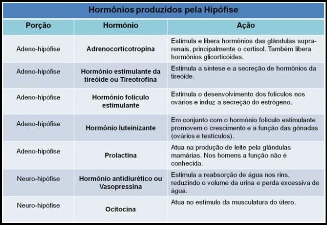 Endokrinné žľazy: hlavné a hormóny