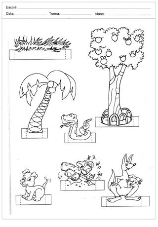 Environment activities for kindergarten - Create an environment of nature
